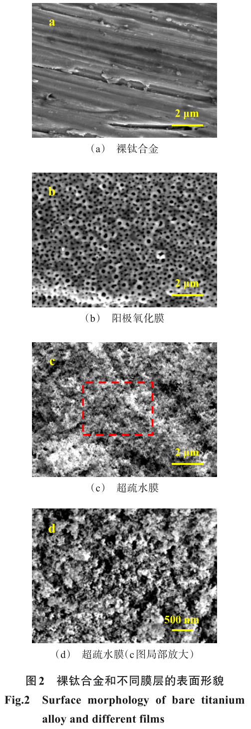 δ(bio)}-1.jpg