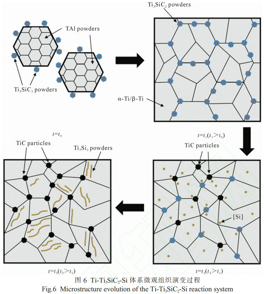 δ(bio)}-1.jpg