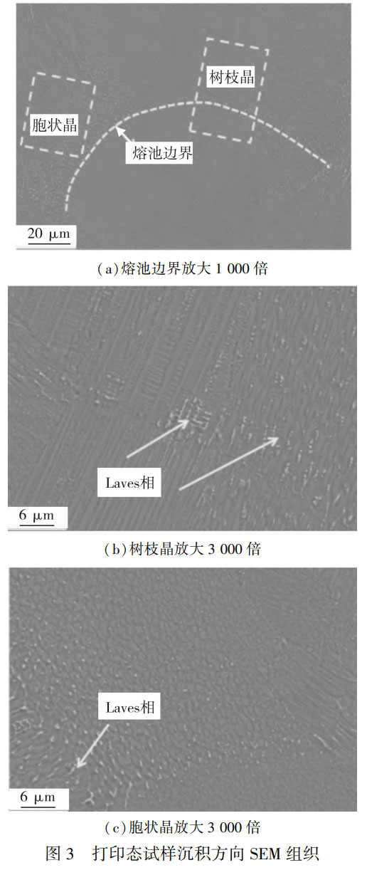 δ}-2.jpg