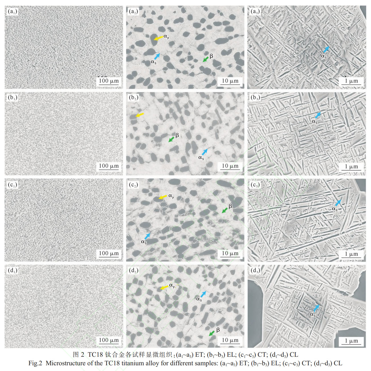 δ(bio)}-1.jpg