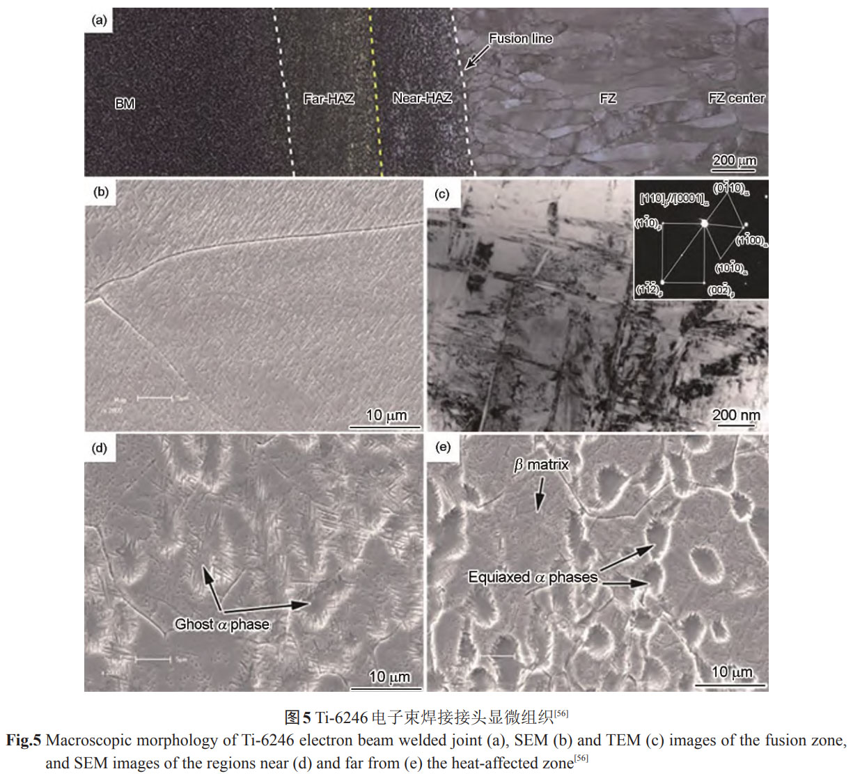 δ(bio)}-1.jpg
