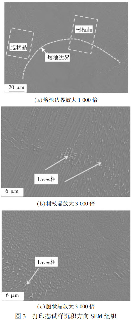δ}-2.jpg